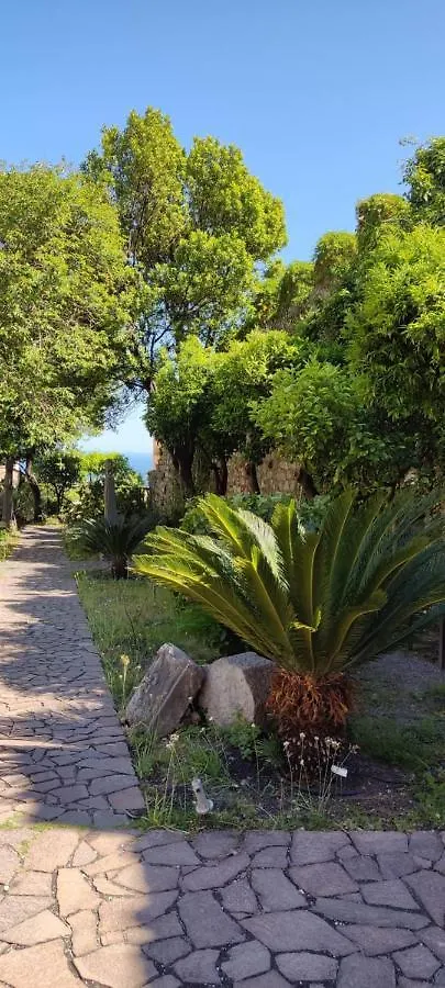 לינה וארוחת בוקר טאורמינה B&B Akropolis איטליה