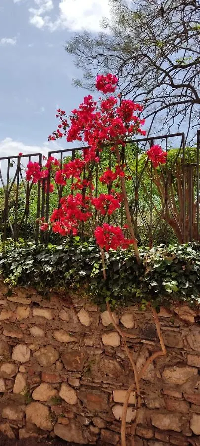Couette-café B&B Akropolis Taormine Italie